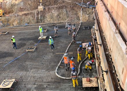 instituto-butantan-2