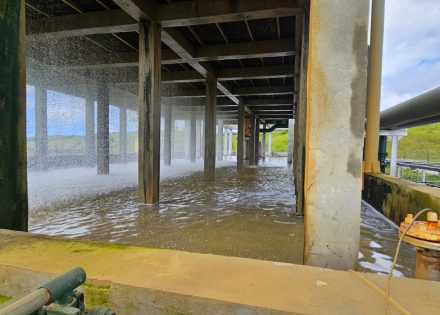 PHOTO-2024-09-10-15-51-18 2